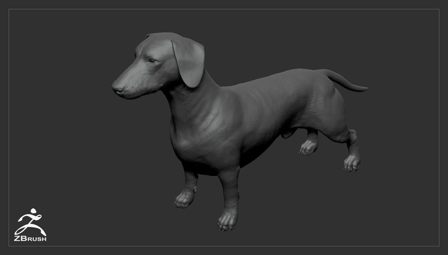 Companion Dog Pack High-Poly Collection _31