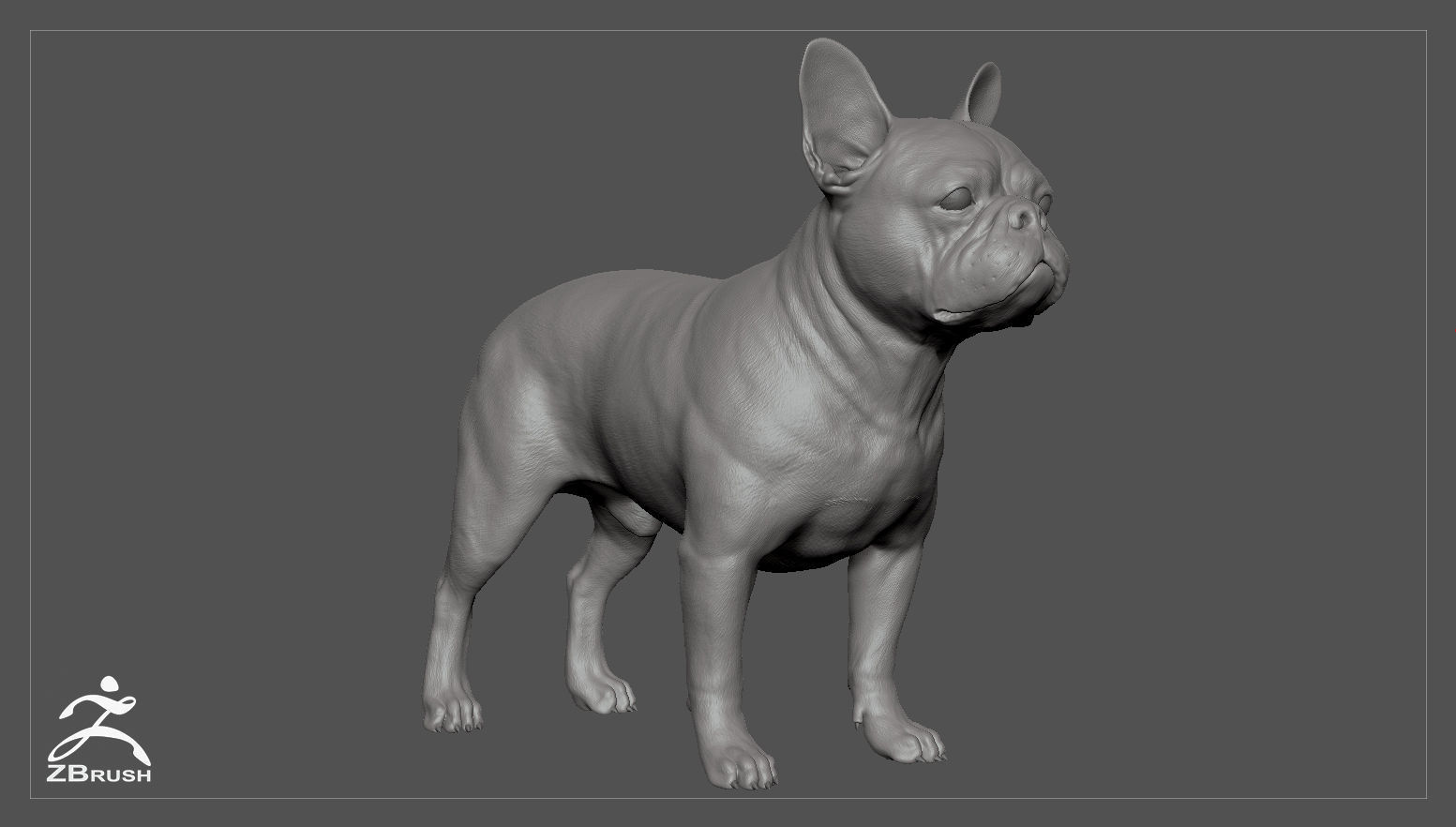 Companion Dog Pack High-Poly Collection _24