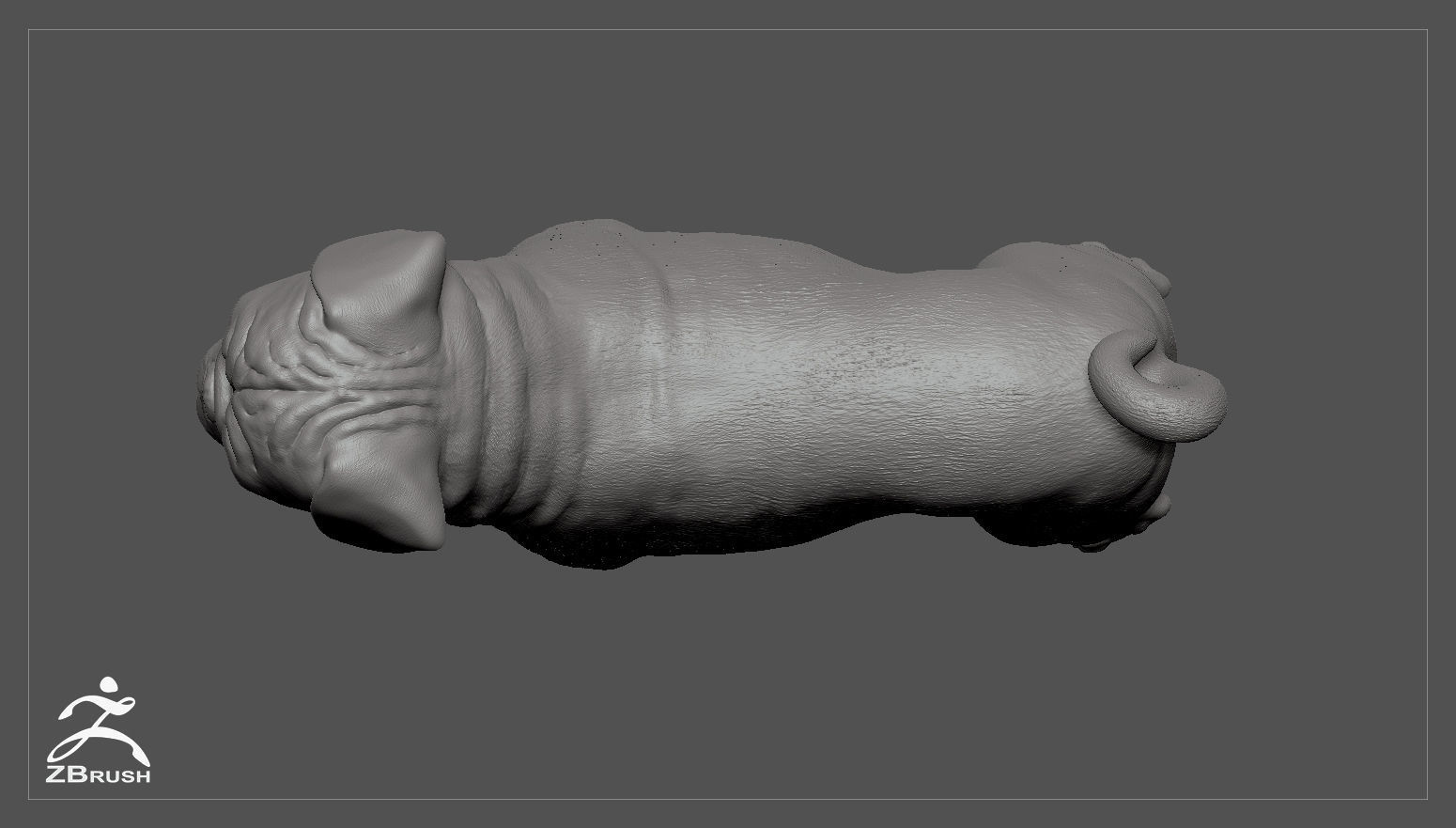 Companion Dog Pack High-Poly Collection _20