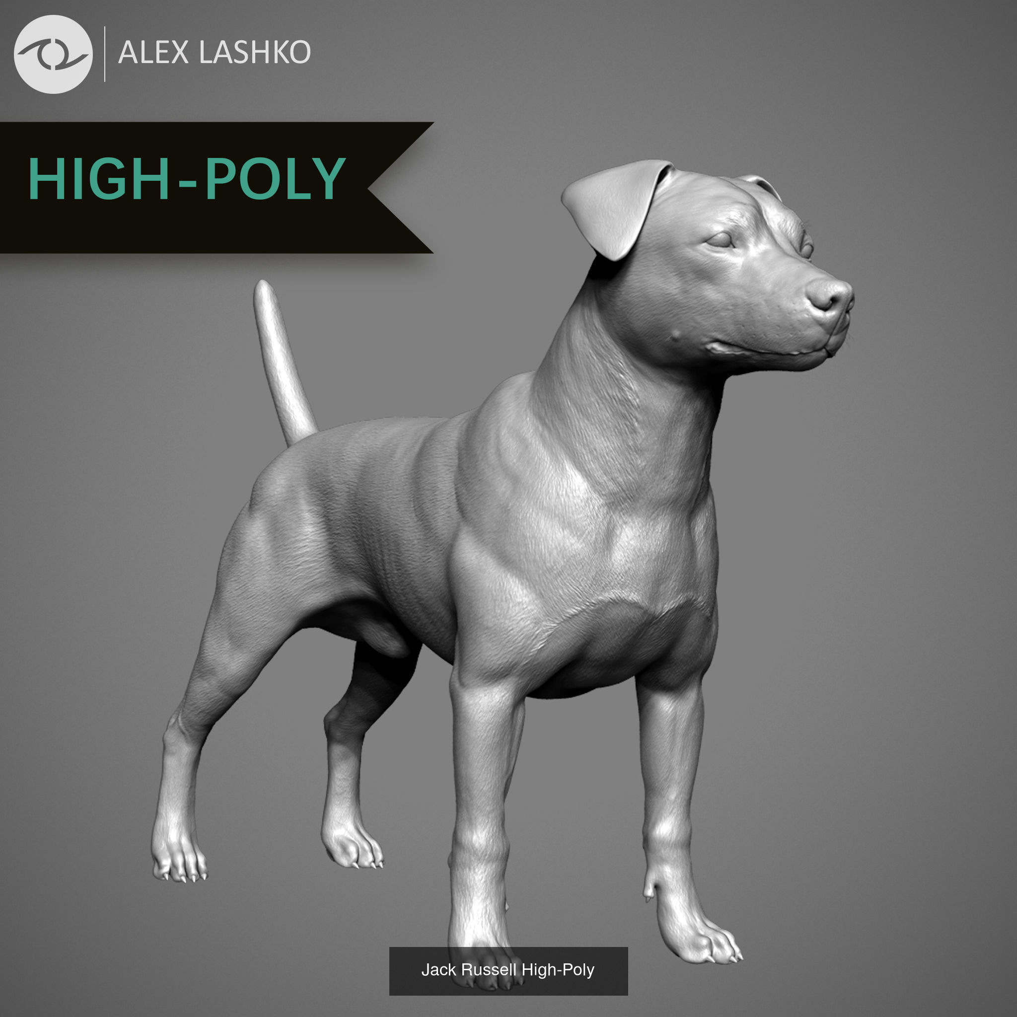 Companion Dog Pack High-Poly Collection _1