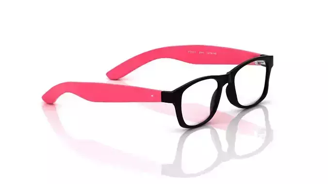 Eyeglasses for Men and Women 3D print model