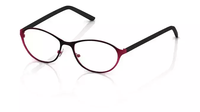 Eyeglasses for Men and Women 3D print model