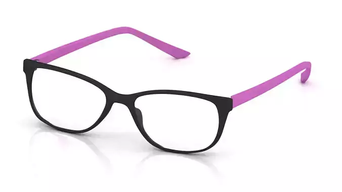 Eyeglasses for Men and Women 3D print model
