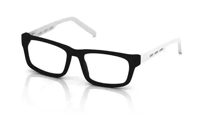Eyeglasses for Men and Women 3D print model