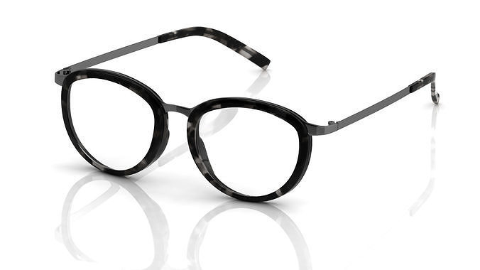 Eyeglasses for Men and Women 3D print model