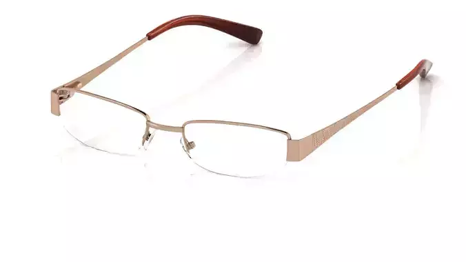 Eyeglasses for Men and Women 3D print model
