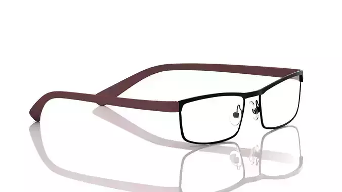 Eyeglasses for Men and Women 3D print model