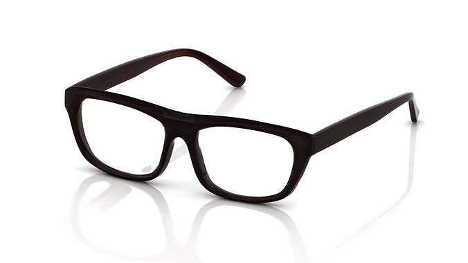 Eyeglasses for Men and Women 3D print model