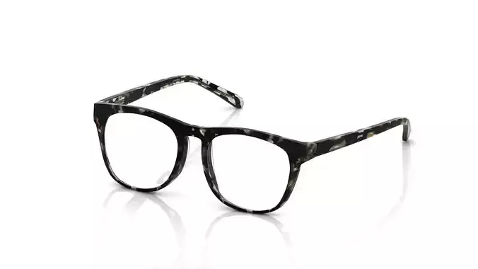 Eyeglasses for Men and Women 3D print model