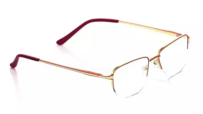 Eyeglasses for Men and Women 3D print model Eyeglasses for Men and Women 3D print model