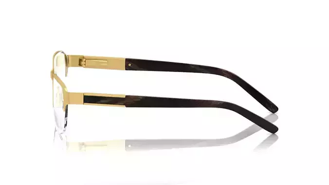 Eyeglasses for Men and Women 3D print model