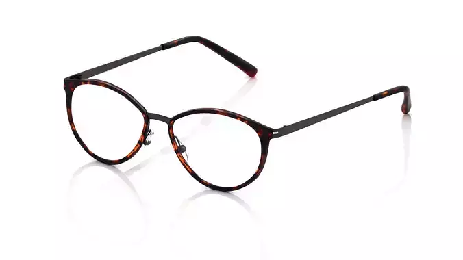 Eyeglasses for Men and Women 3D print model