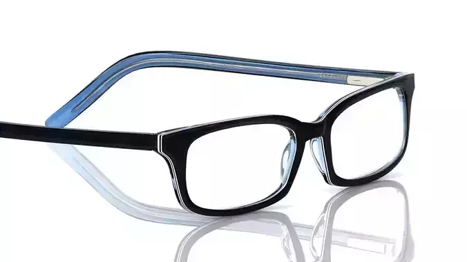 Eyeglasses for Men and Women 3D print model