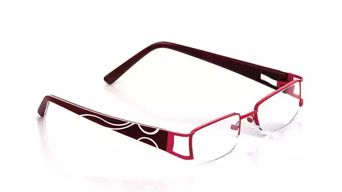 Eyeglasses for Men and Women 3D print model