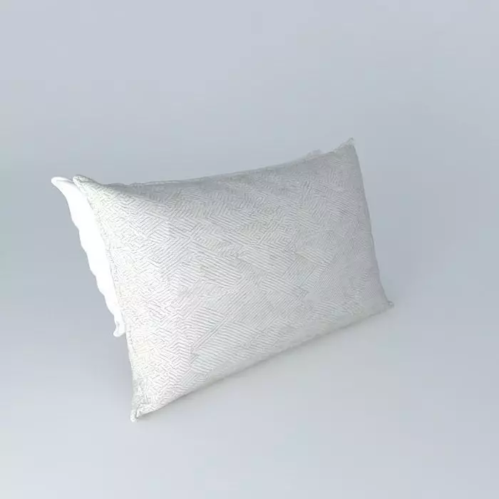 Realistic Bed Pillows 3D model_0