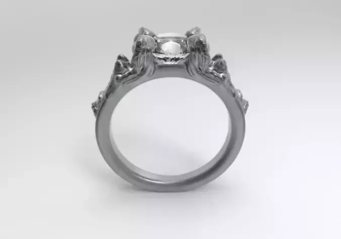 speacial ring 