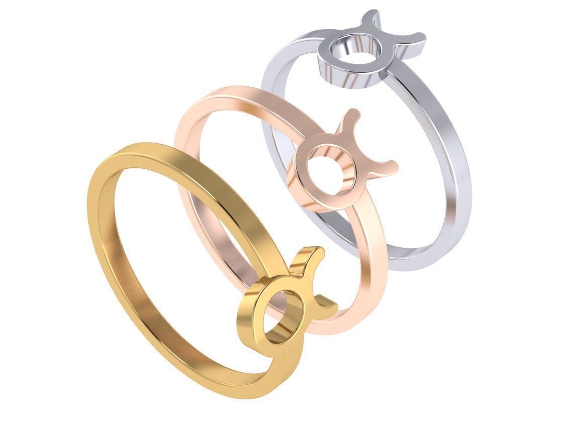 zodiac rings 3D Model Collection_23