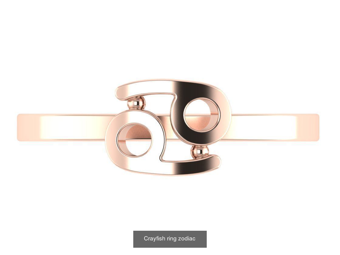 zodiac rings 3D Model Collection_10