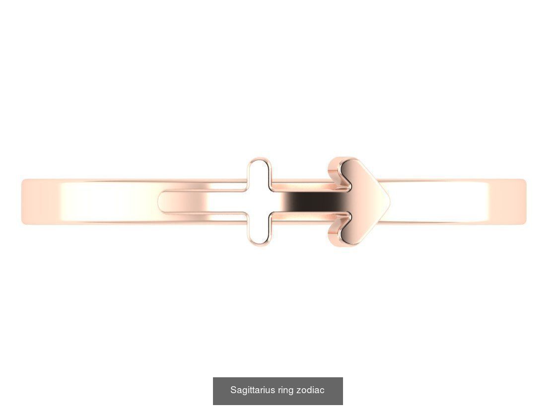 zodiac rings 3D Model Collection_6