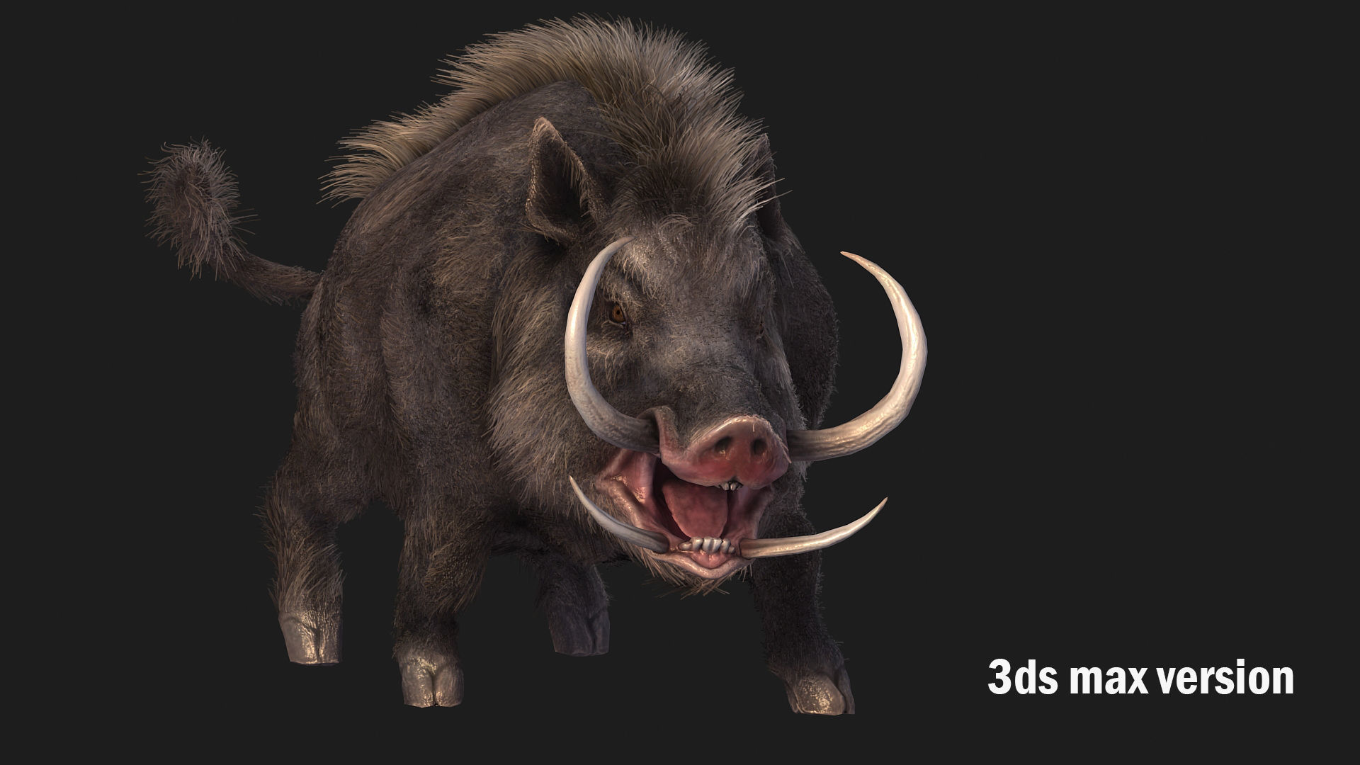 boar pig beast  Low-poly 3D model_2