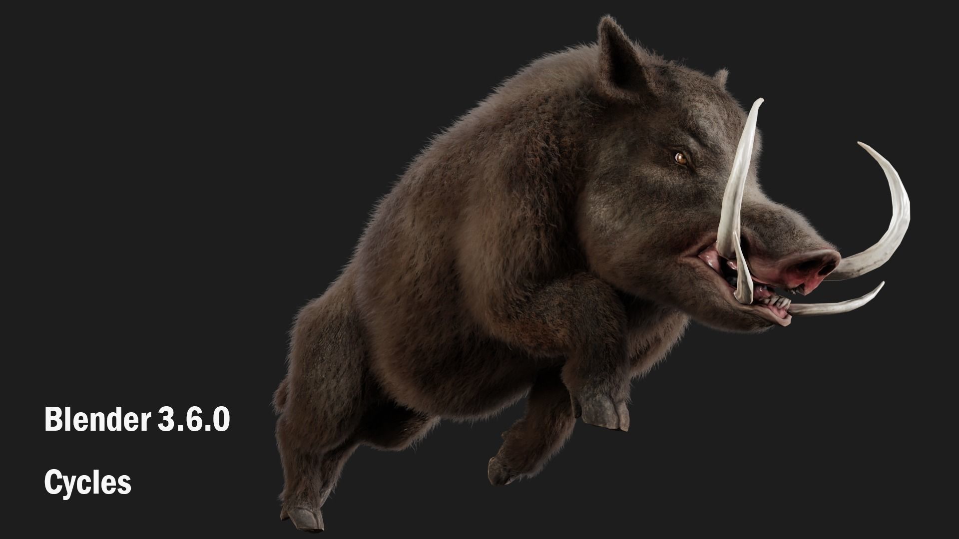 boar pig beast  Low-poly 3D model_7