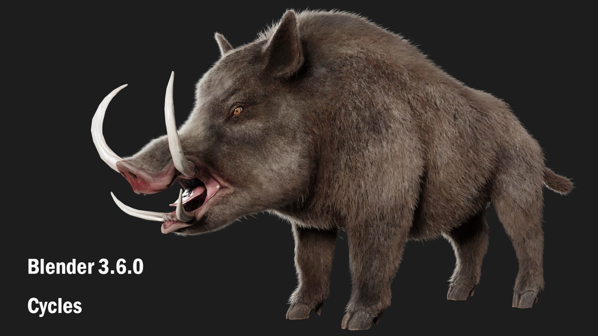 boar pig beast  Low-poly 3D model_6