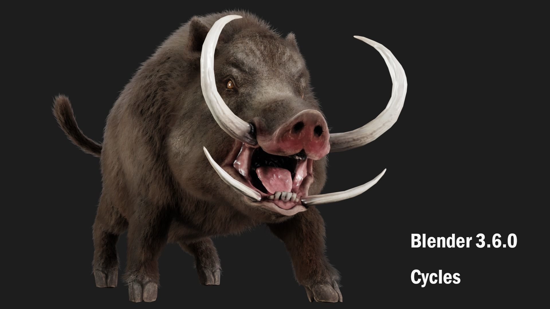 boar pig beast  Low-poly 3D model_8