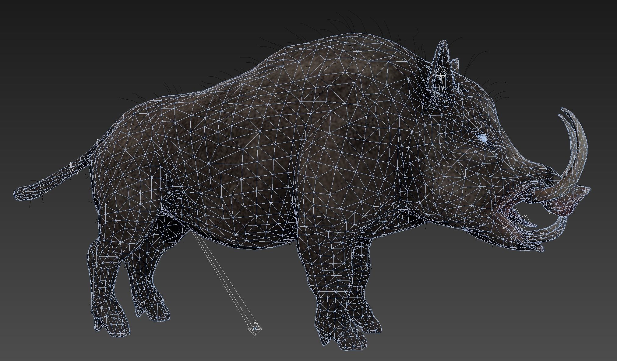 boar pig beast  Low-poly 3D model_10