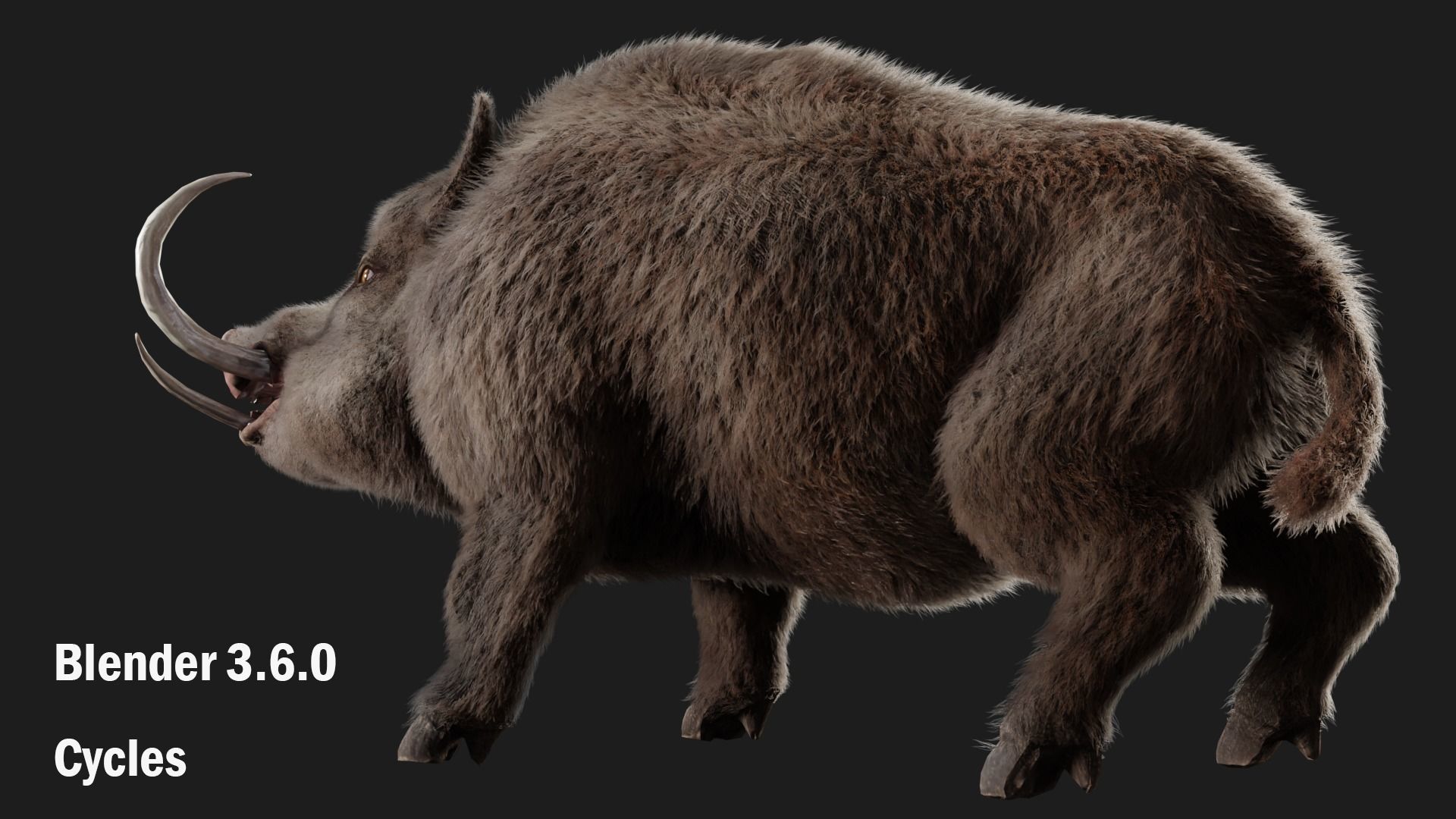 boar pig beast  Low-poly 3D model_9