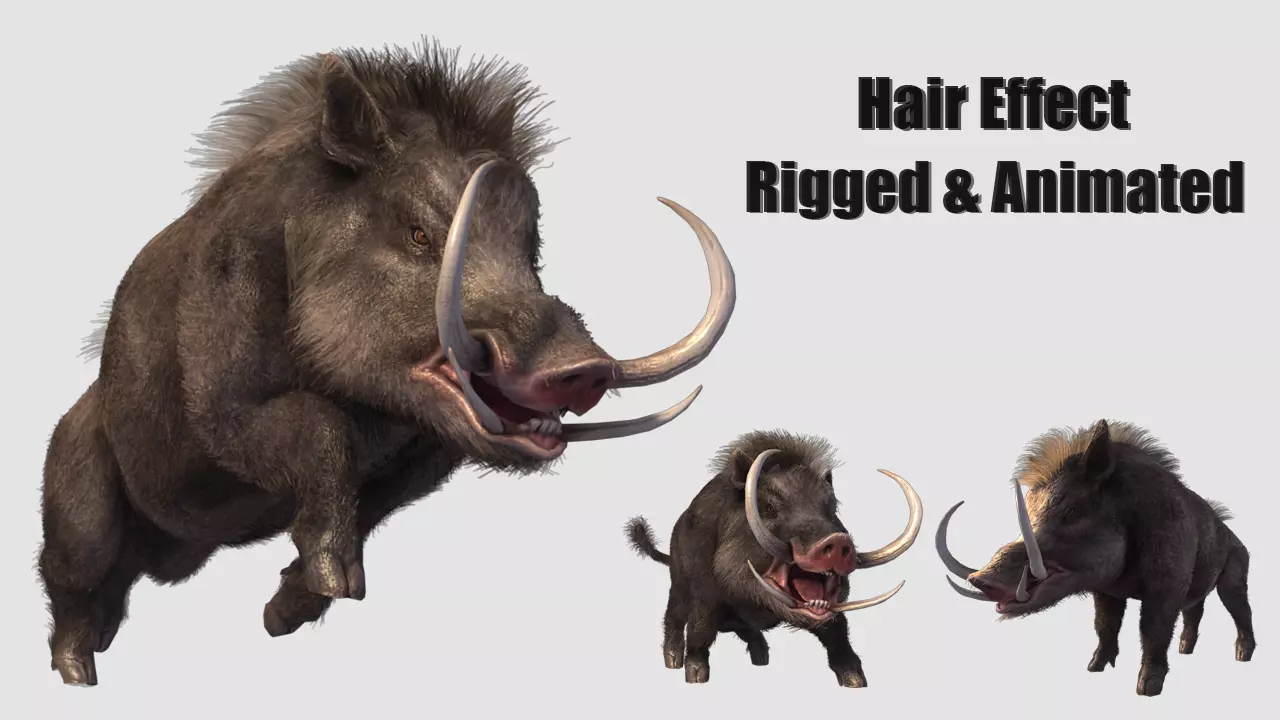 boar pig beast  Low-poly 3D model_0