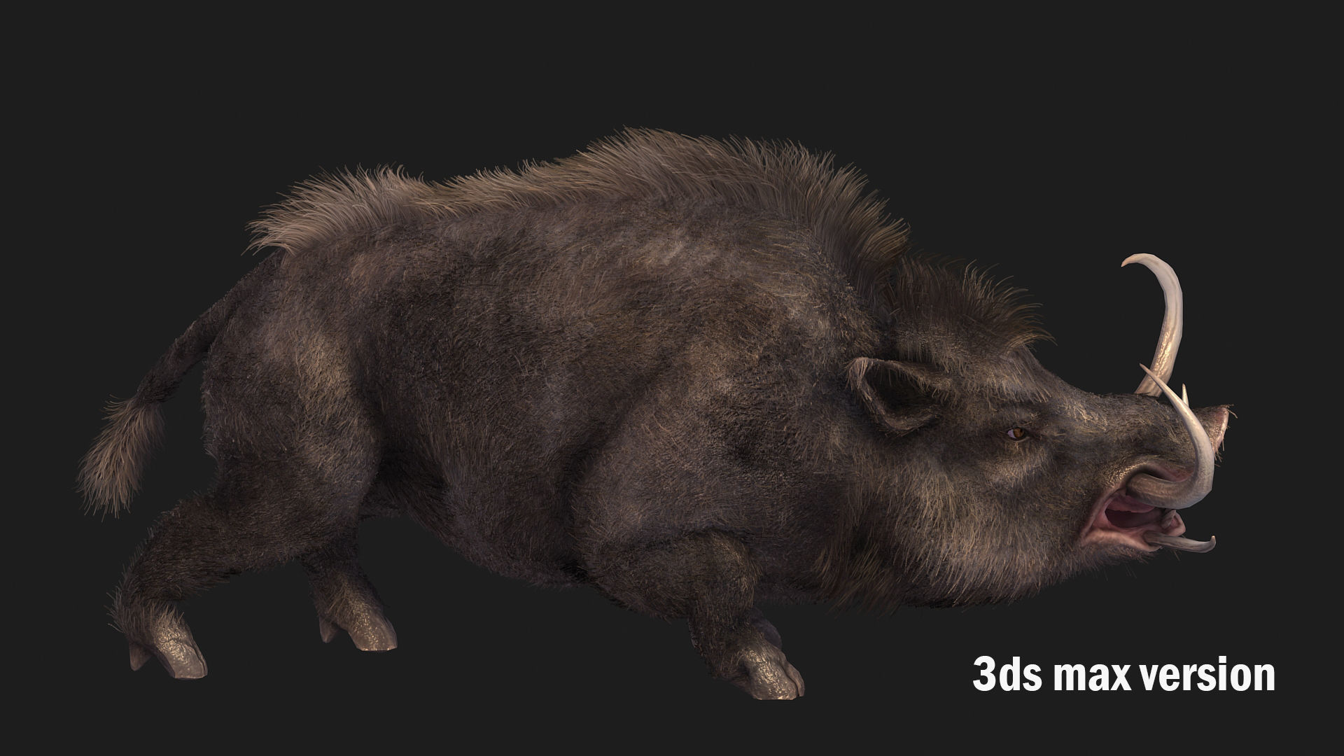boar pig beast  Low-poly 3D model_5