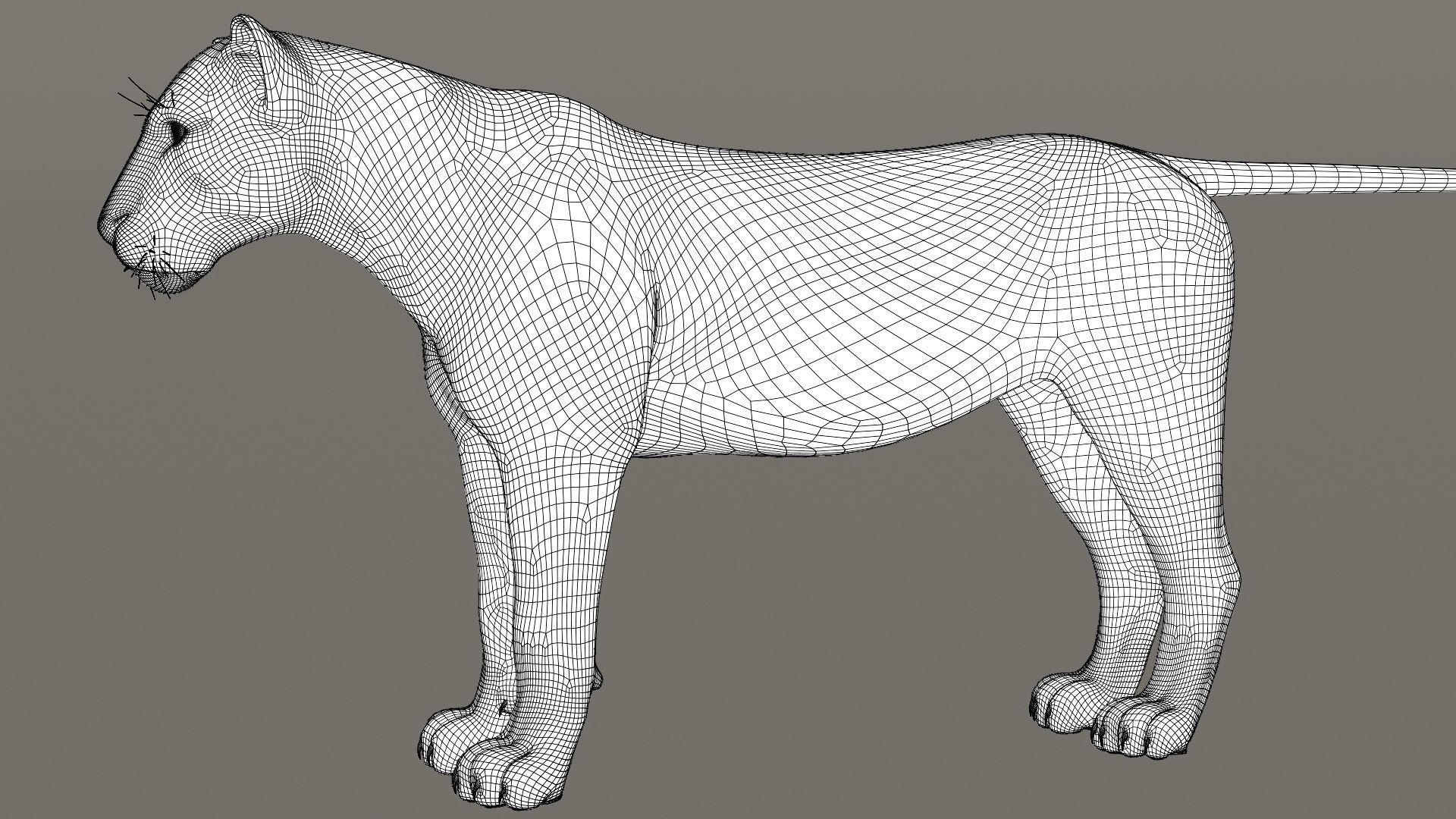 Lioness Fur Model 3D model_22