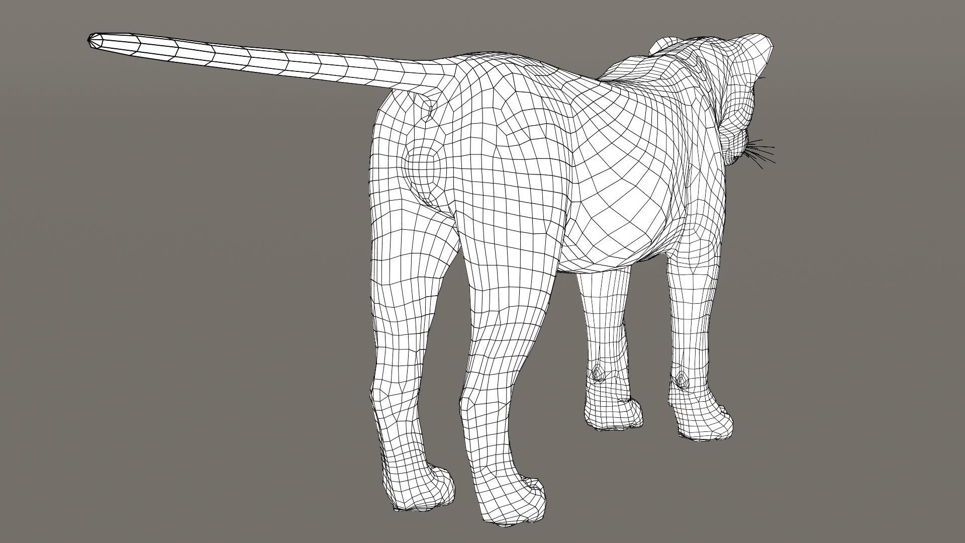 Lioness Fur Model 3D model_19