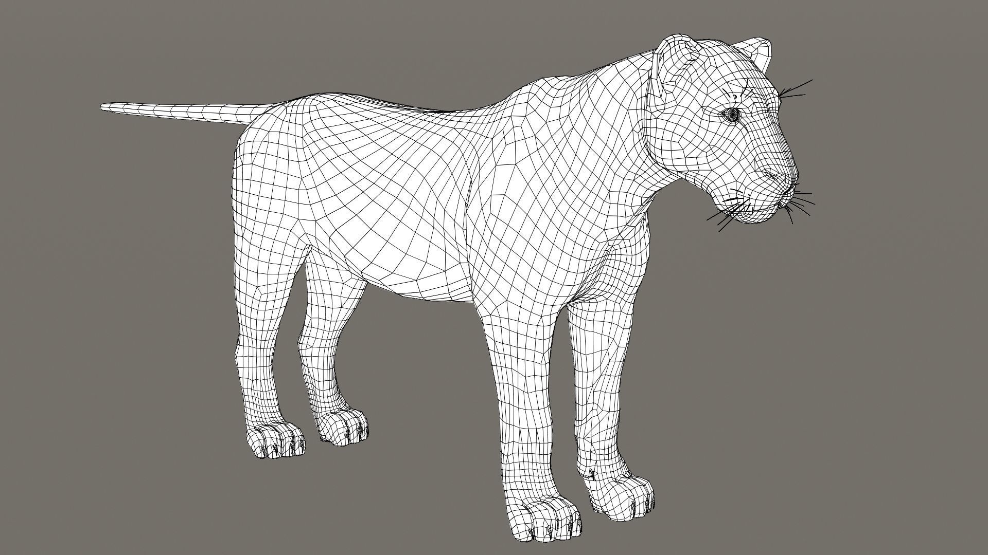 Lioness Fur Model 3D model_17