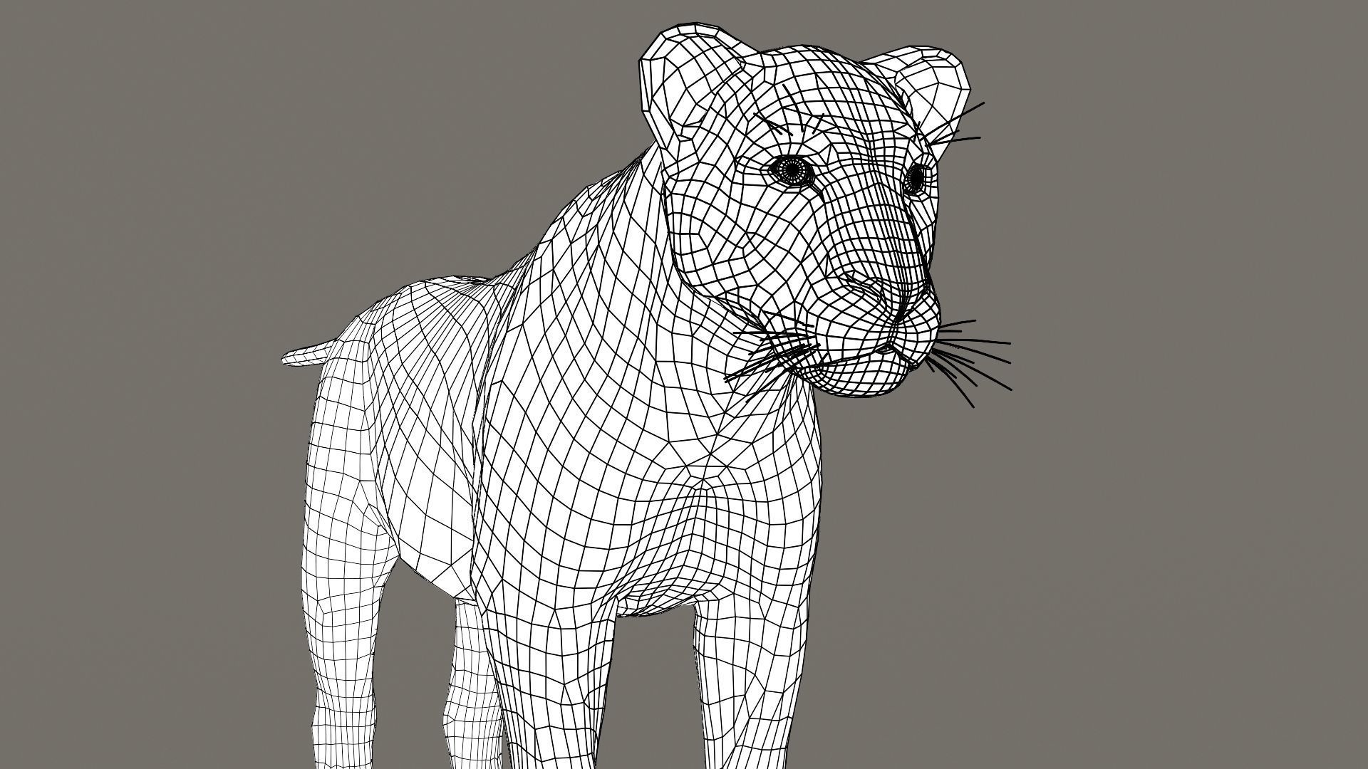 Lioness Fur Model 3D model_23