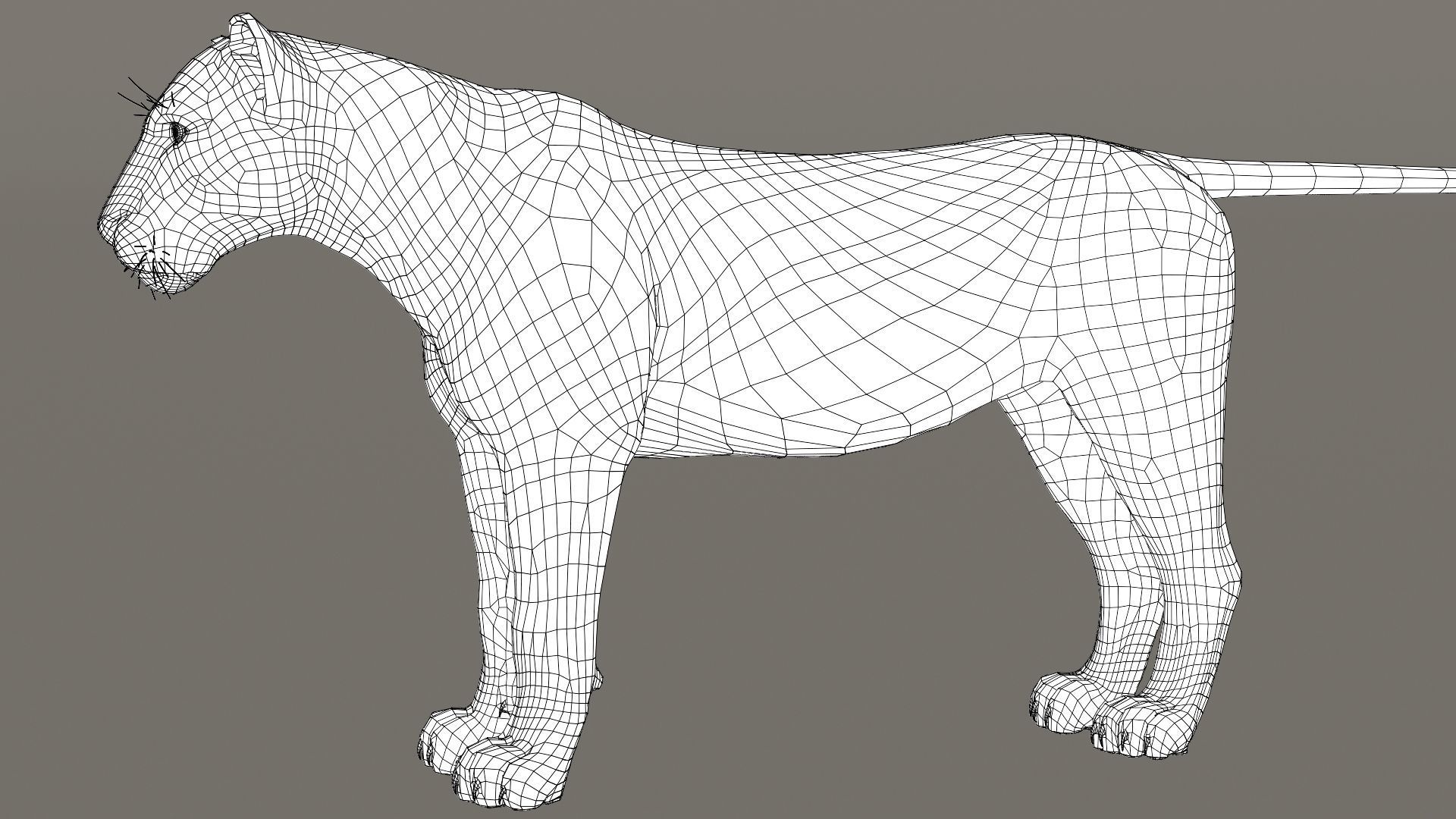 Lioness Fur Model 3D model_21