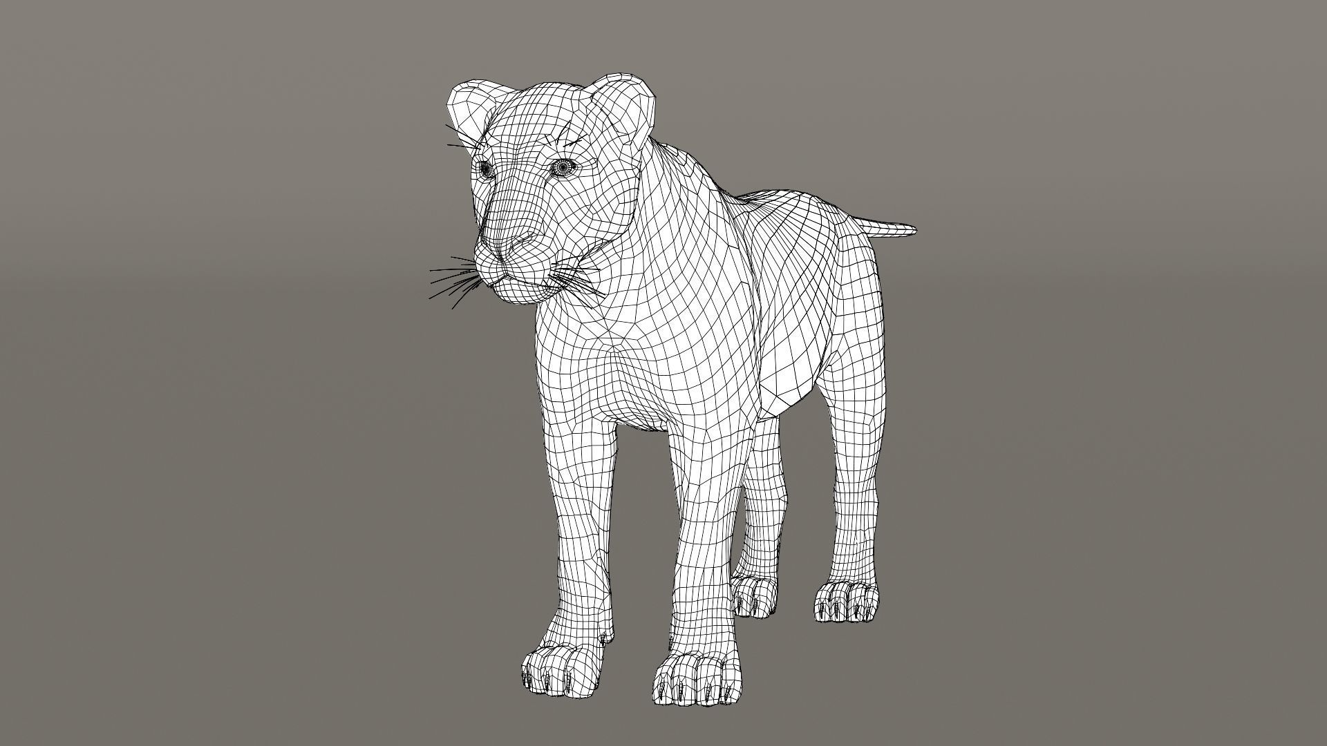 Lioness Fur Model 3D model_15