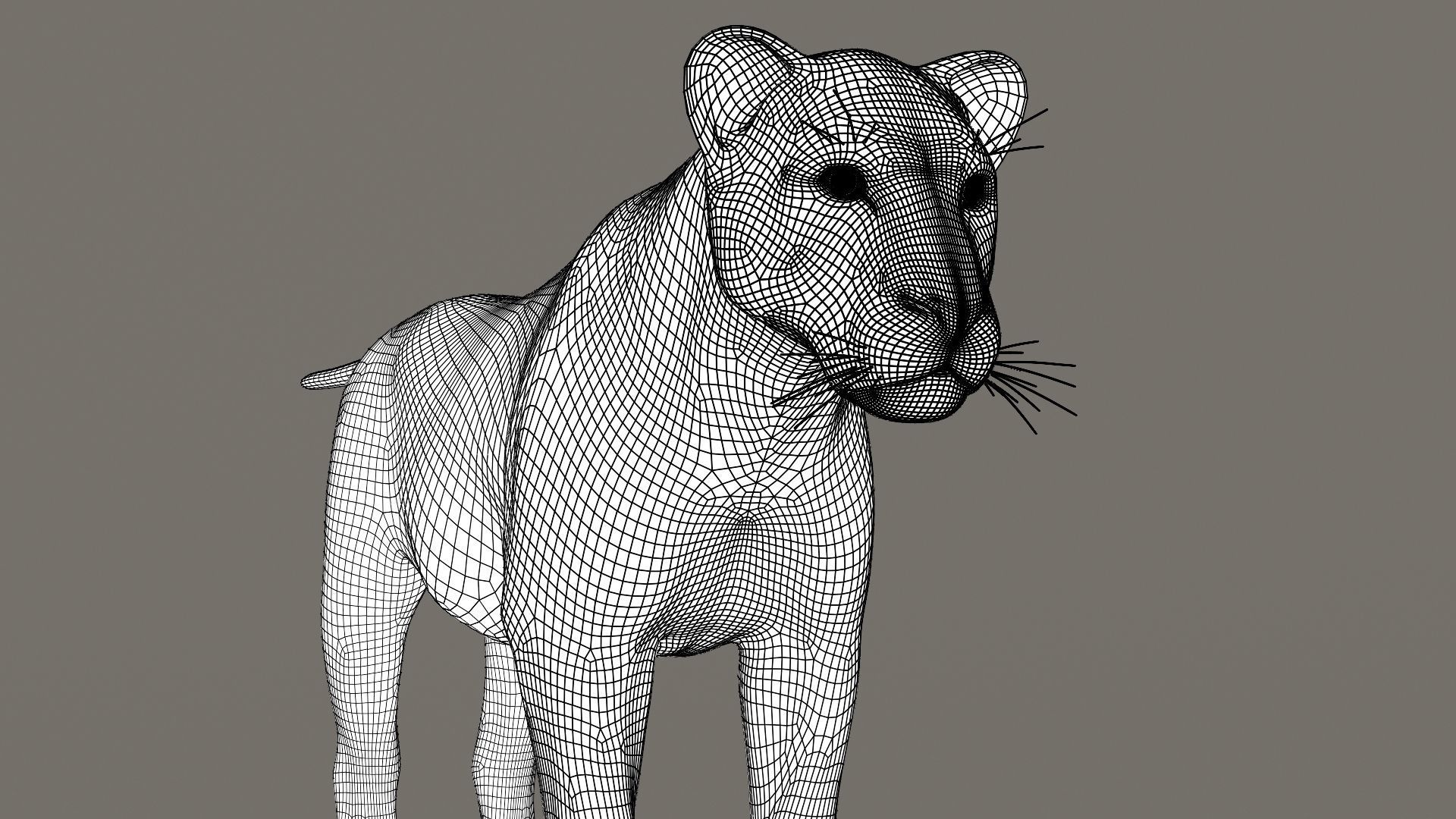 Lioness Fur Model 3D model_24