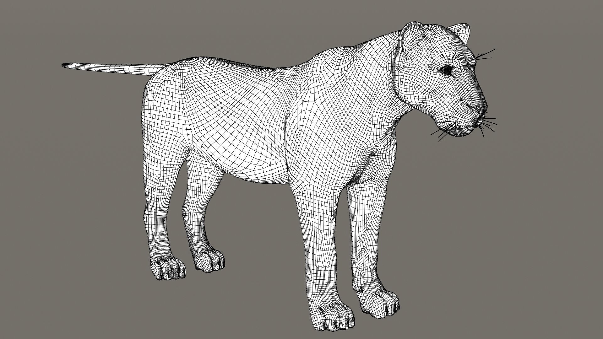 Lioness Fur Model 3D model_18