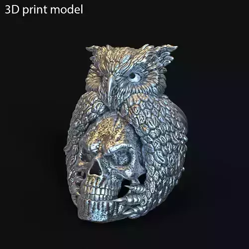 SKull ring jewelry and owl vol1 