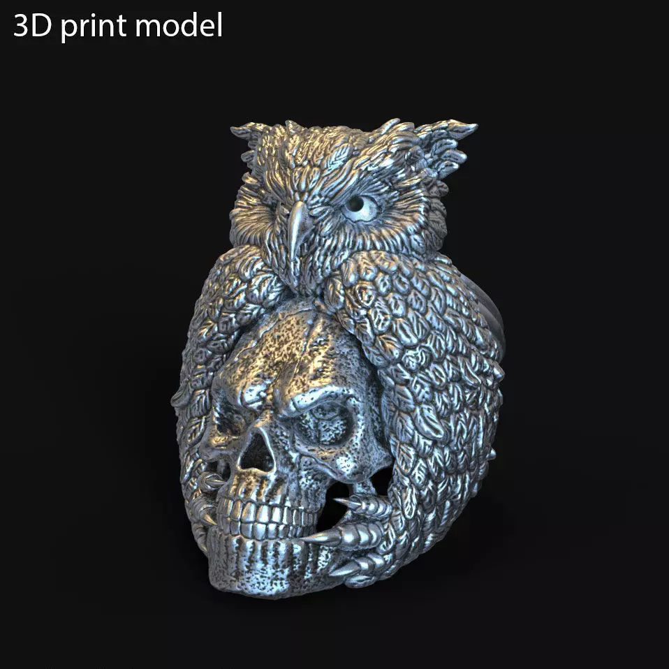 SKull ring jewelry and owl vol1  3D print model_0