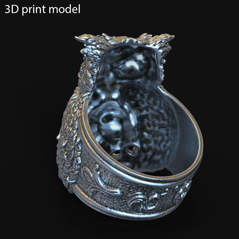 SKull ring jewelry and owl vol1  3D print model_3