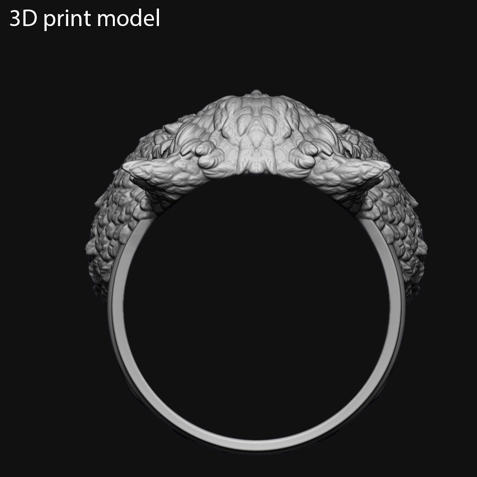 SKull ring jewelry and owl vol1  3D print model_7