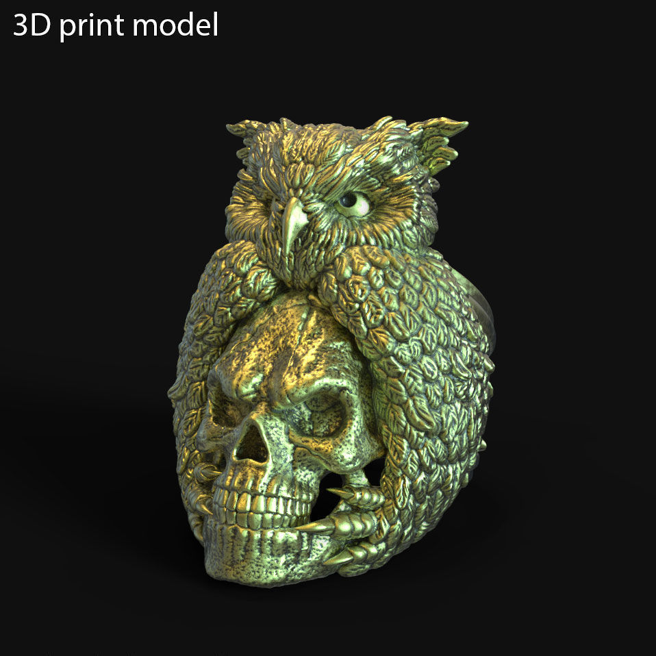SKull ring jewelry and owl vol1  3D print model_1