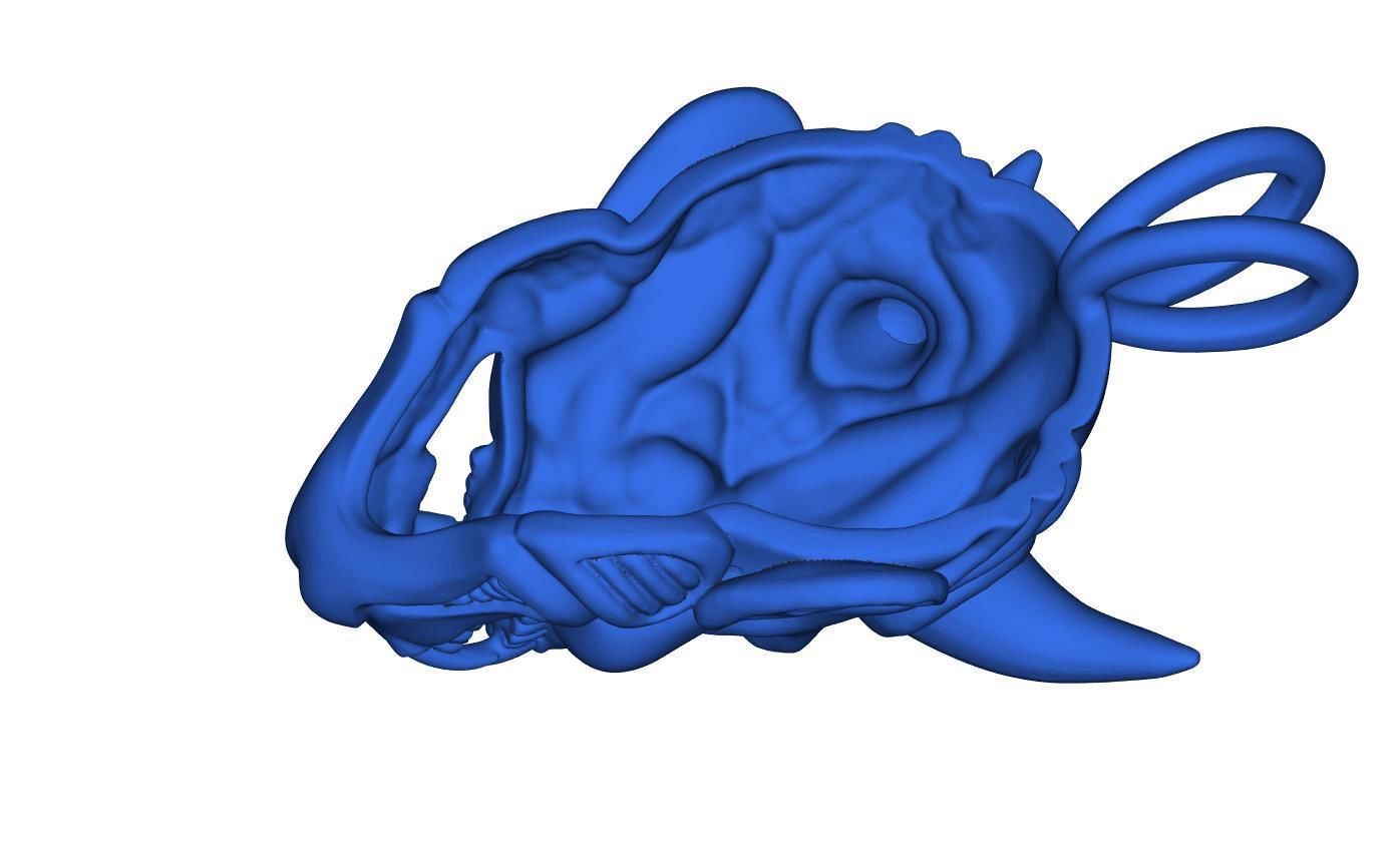 The Dark Mask 3D print model_8