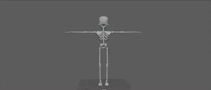 Skeleton