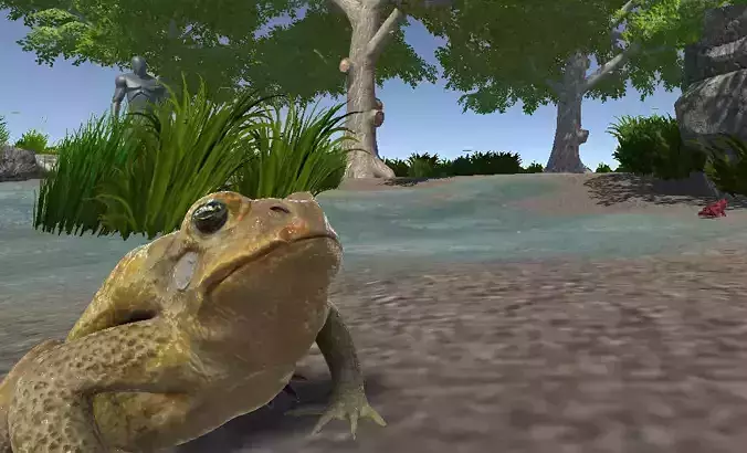 PBR Toad Animated Low-poly 3D model