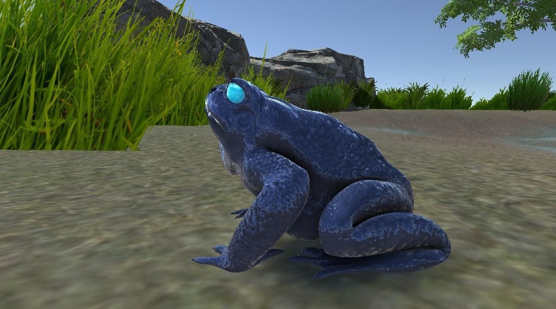 PBR Toad Animated Low-poly 3D model_3