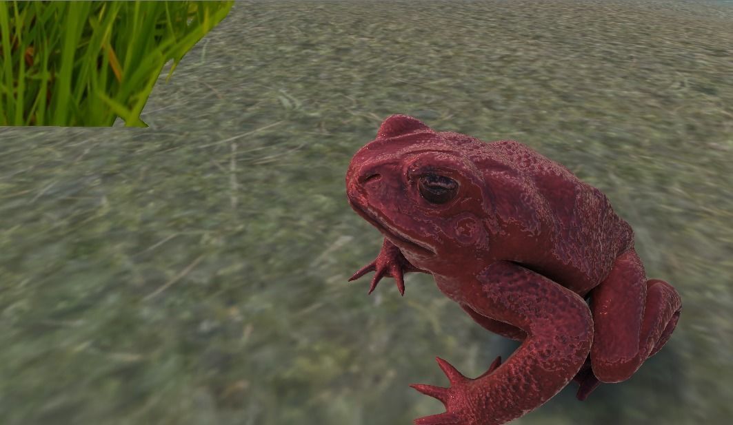 PBR Toad Animated Low-poly 3D model_2