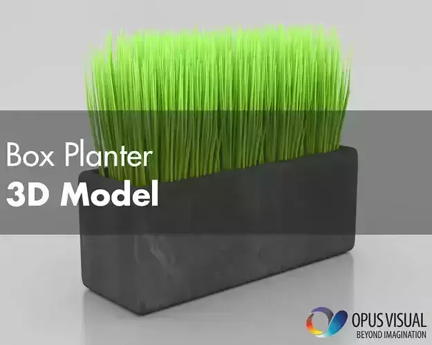 Box Planter 3D model